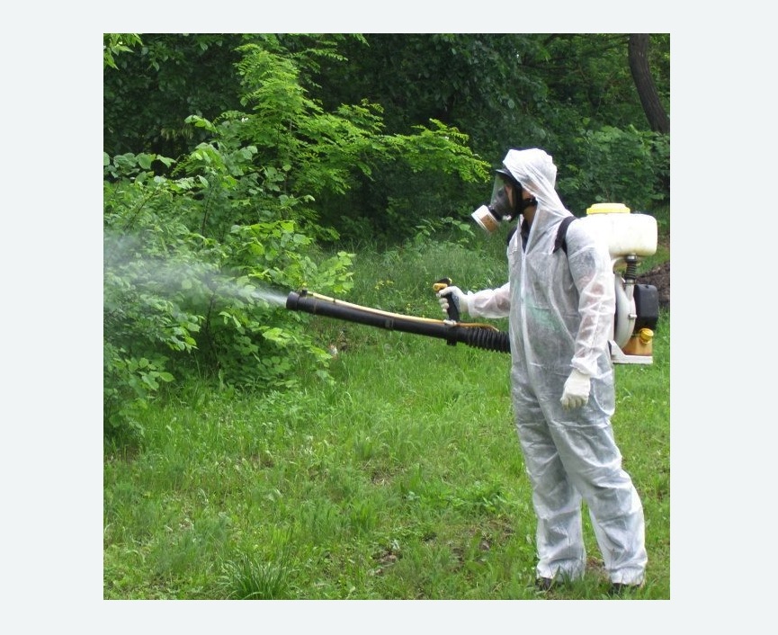 обработка территории от клещей в Приозерске