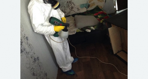 Обработка квартир от насекомых в Приозерске