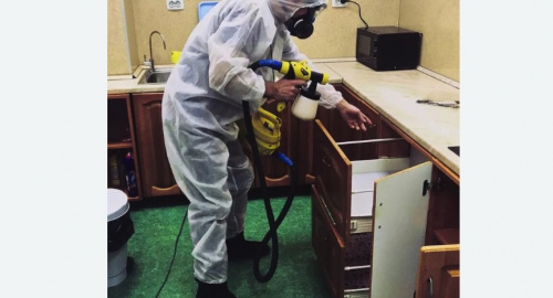 Дезинсекция квартиры. Приозерск
