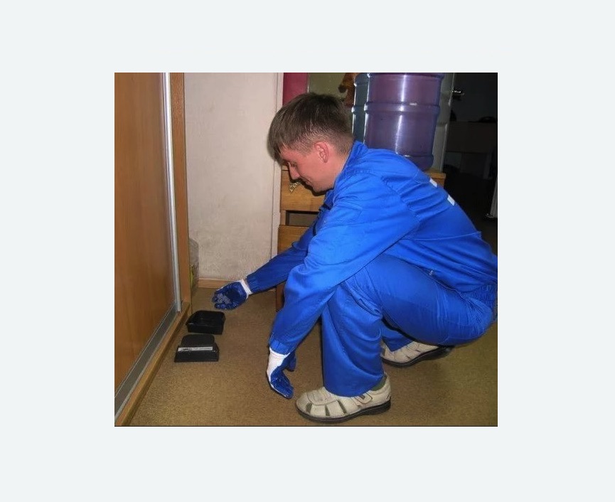 Дератизация крыс в Приозерске