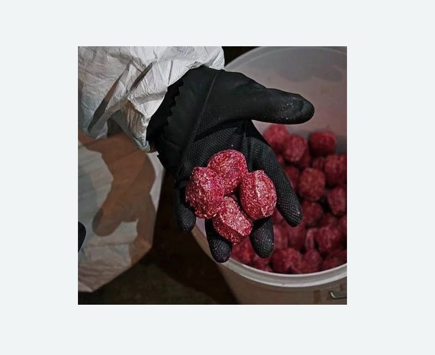 Обработка от крыс в Приозерске