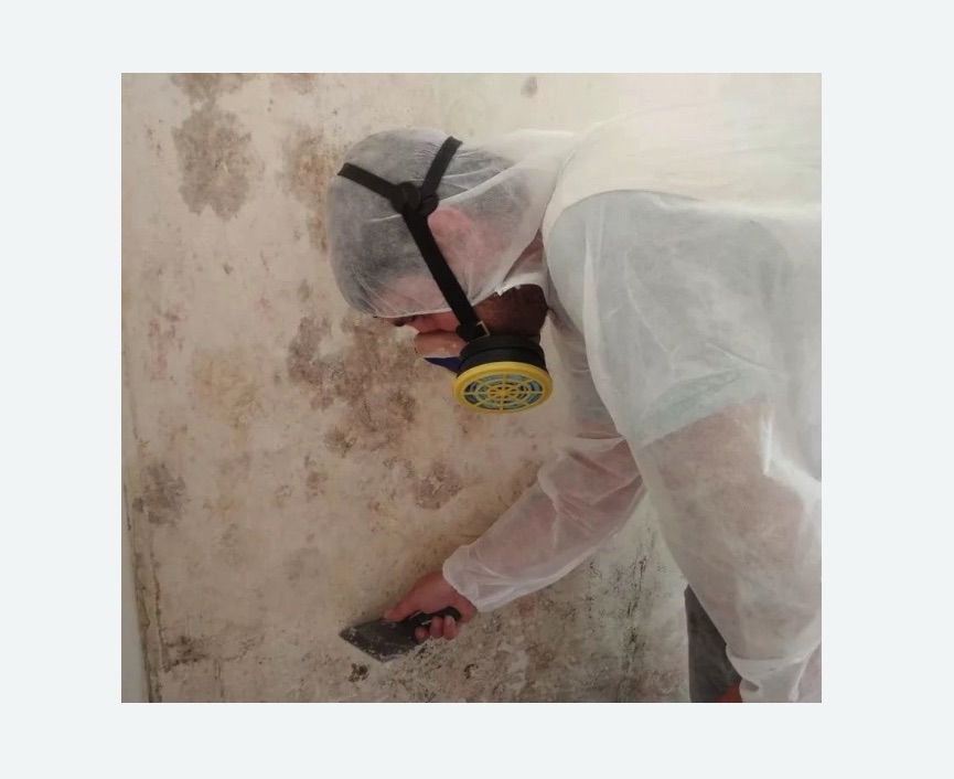 Обработка стен от плесени в Приозерске
