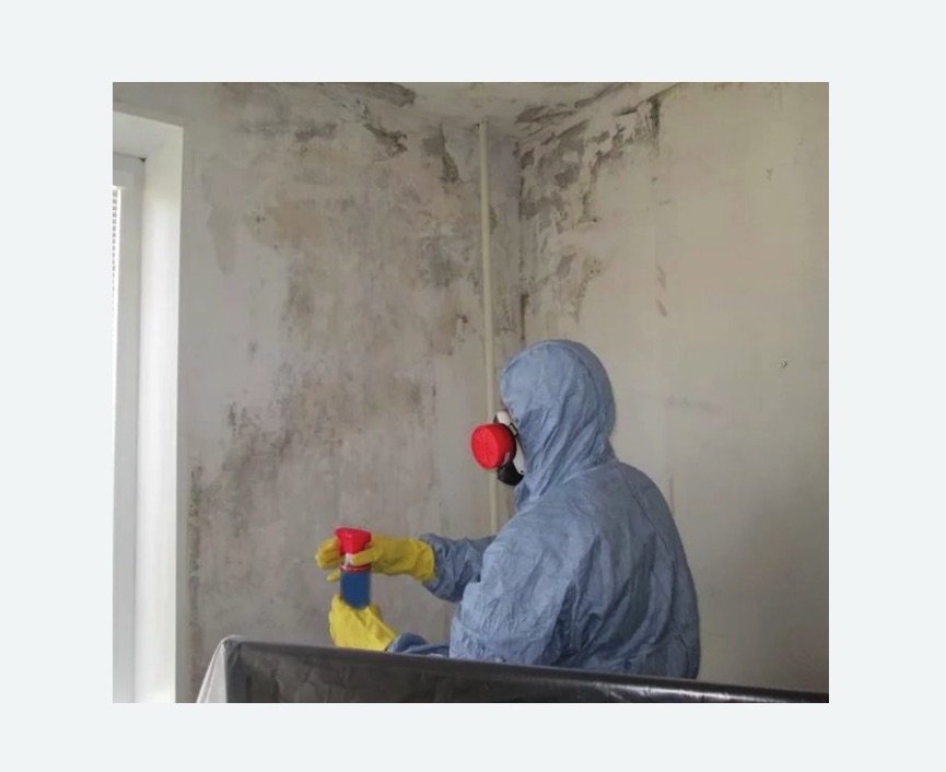 Удаление плесени в квартире в Приозерске