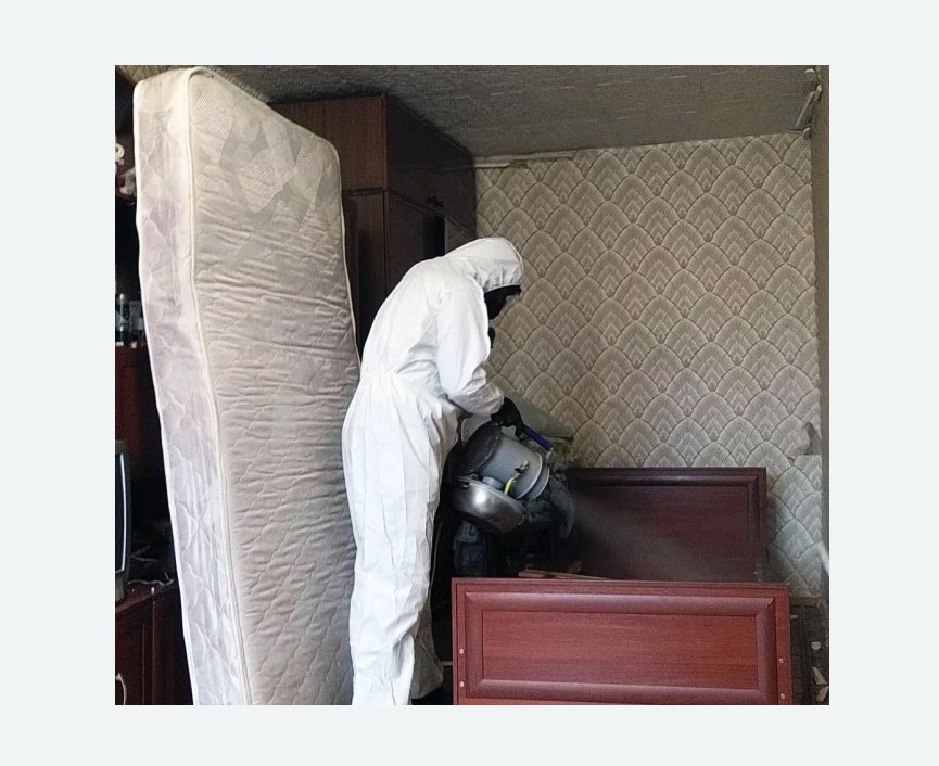 дезинфекция от клопов в Приозерске