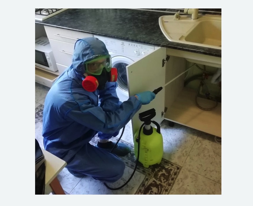 обработка от муравьев в квартире в Приозерске