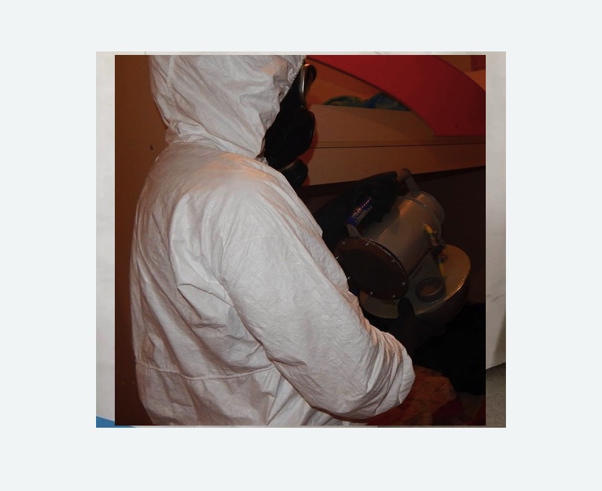 Дезинфекция от муравьев в Приозерске